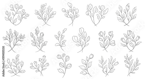 Extensive collection of hand drawn botanical sketches featuring various leafy branches and floral elements in a vintage style.