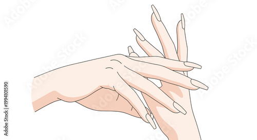 Illustration of elegant female hands showcasing long manicured fingernails with a natural nude polish against a plain background.