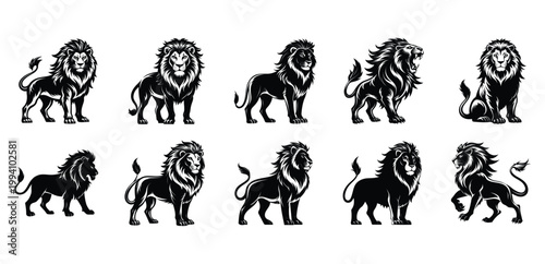 Collection of black lion silhouettes in various poses lions white background