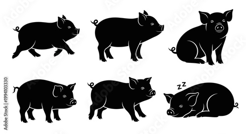 Set of Pig Silhouettes in Various Poses