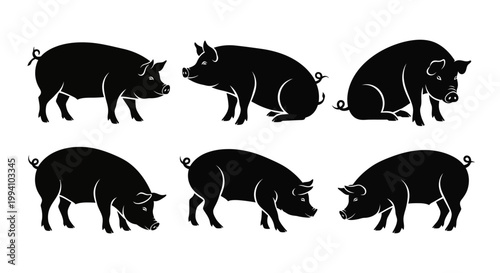Set of Pig Silhouettes in Various Poses