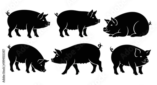 Set of Pig Silhouettes in Various Poses