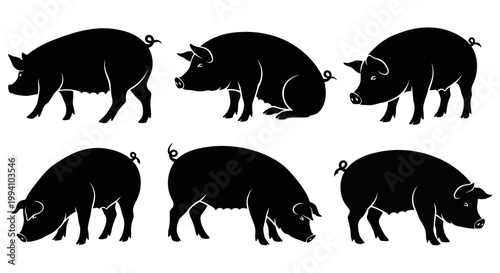 Set of Black Pig Silhouettes in Various Poses