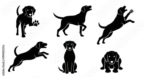 Set of Black Labrador Dog Silhouettes in Various Poses