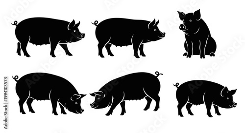Set of Six Pig Silhouettes - Farm Animal Swine Icons for Agriculture and Meat Industry