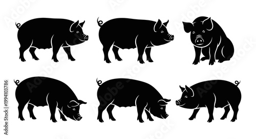 Set of Black Pig Silhouettes in Various Poses