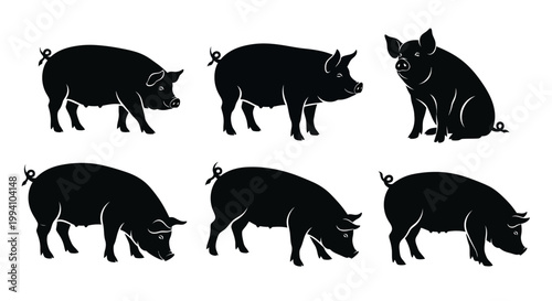 Set of Pig Silhouettes in Various Poses