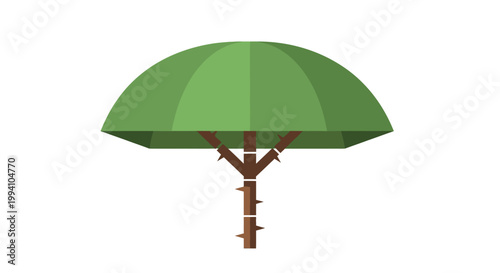 Green tree illustration with a rounded canopy and brown trunk isolated.