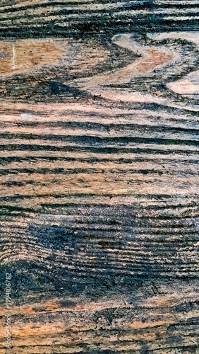 close up photo of wood texture, very suitable as a background