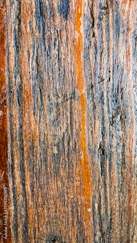 close up photo of wood texture, very suitable as a background