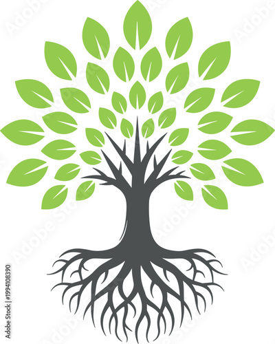 Tree with visible roots vector illustration green leafy growth concept isolated ecological life symbol design