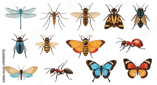 Set of colorful and detailed insect illustrations including butterflies a dragonfly a bee an ant a beetle and a mosquito.