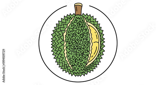 Durian fruit with spiky green skin and creamy yellow flesh.