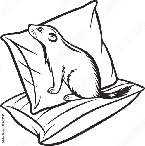 vector illustration of a cat