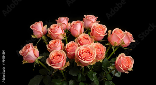  The captivating beauty of a lush bouquet of roses against a striking black background. A floral arrangement for a greeting card, shot from above. AI generated.
