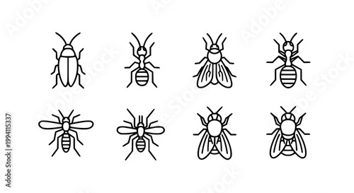 Flying and Crawling Insect Icon Set with Ant Housefly Spider and Winged Bug in Detailed Outline Style for Nature Science