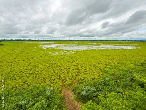 Foto Laguna Caño Negro, Costa Rica 2025 (Sitio RAMSAR)
