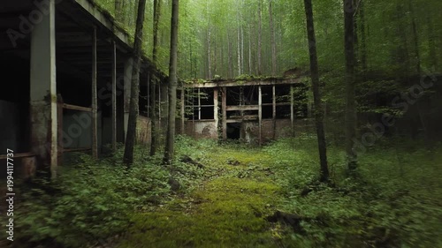 An abandoned wooden structure stands in a dense forest surrounded by trees and overgrown vegetation.