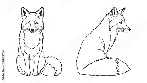Elegant Black and White Line Art Drawing of Two Sitting Foxes, One Front View and One Side Profile, Isolated Wild Mammals.