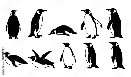 Penguin silhouettes vector set black arctic bird wildlife collection minimal design