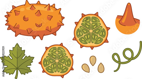 Gac Fruit Vector Illustration Set with Whole Fruit Cross Sections Seeds Leaf and Botanical Elements for Tropical Organic Food Design