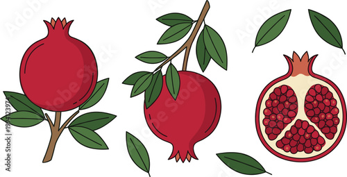 Pomegranate Fruit Illustration Set with Whole, Cut, Seeds, Leaves, and Branch for Fresh Organic Food, Agriculture, and Healthy Nutrition Design