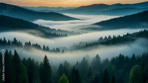 A serene aerial view of rolling hills and dense evergreen forests shrouded in morning fog at sunrise.