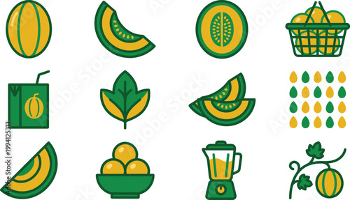 Melon Fruit Icon Set with Whole, Slices, Juice Box, Blender, Basket, Leaves, and Seeds for Fresh Organic Food and Healthy Nutrition Design