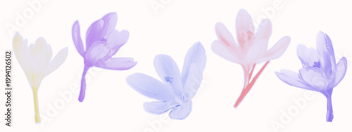 Set of delicate pastel flowers in halftone texture. Soft gradient crocuses in purple, pink and yellow tones. Cut out from scrapbook and collage. Vintage craft contemporary vector art.