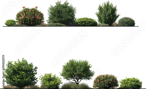 set of plants for illustrations and  trees in elevation and plan view architectural drawings purpose and illustration backgrounds