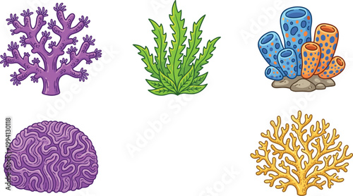 Coral Reef Marine Life Element Set with Seaweed Brain Coral Sponge and Branch Coral Shapes for Underwater Ocean Nature Vector Illustration Collection