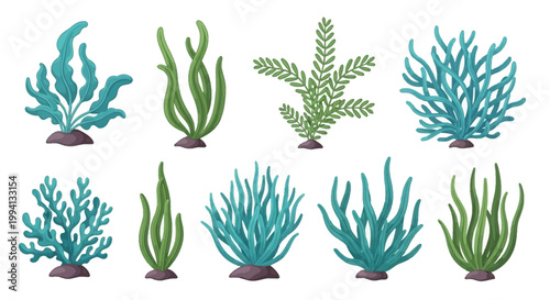 Set of nine stylized marine foliage illustrations featuring various green and teal seaweed, kelp blades, and coral reef plants isolated on white for aquarium or ocean design.