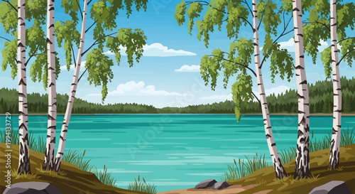 Vector illustration of white birch trees with green leaves on the shore of a calm turquoise lake, featuring a pine forest background and blue sky with clouds in a flat design style.
