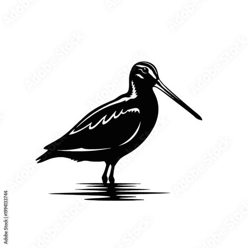 Black and white vector silhouette of a common snipe bird standing in water. Profile view of a wader bird with a long beak and detailed feather markings isolated on white background.