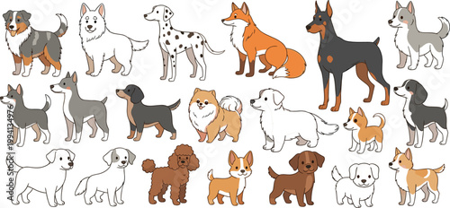Canvas Print Dog breed illustration collection featuring various puppies and adult dogs in di