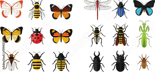 Insect illustration set featuring butterflies bees beetles dragonfly ladybug mantis and various bugs in detailed colorful and outline vector collection