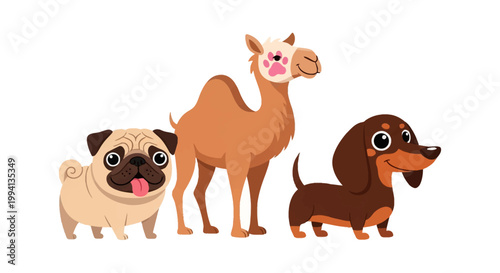 Flat vector illustration featuring a cartoon fawn pug with its tongue out, a brown dromedary camel with a pink paw print on its face, and a brown dachshund dog.