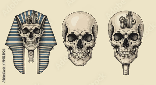 Set of three detailed hand-drawn sketches featuring human skulls with Ancient Egyptian pharaoh elements including a striped Nemes headdress, ceremonial beard, and uraeus cobra on forehead.