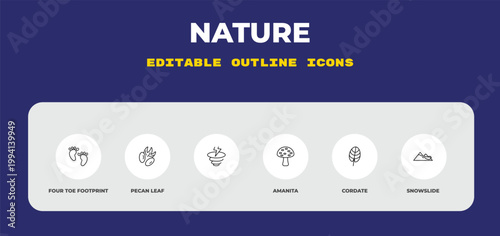 outline nature icons set - four toe footprint, pecan leaf, . editable vector for web and mobile ui