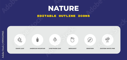 outline nature icons set - grape leaf, american mountain ash, hawthorn leaf. editable vector for web and mobile ui