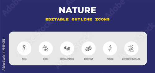 outline nature icons set - rose, burn, escuamiforme. editable vector for web and mobile ui