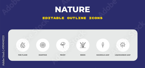 outline nature icons set - fire flame, dianthus, peony. editable vector for web and mobile ui