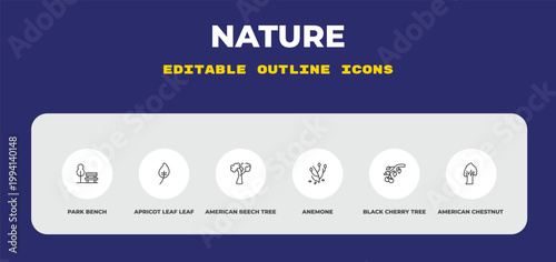 outline nature icons set - park bench, apricot leaf leaf, american beech tree. editable vector for web and mobile ui