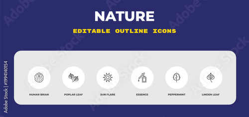 outline nature icons set - human brian, poplar leaf, sun flare. editable vector for web and mobile ui