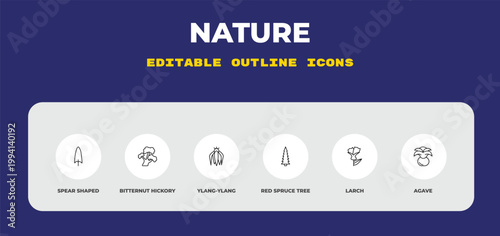 outline nature icons set - spear shaped, bitternut hickory tree, ylang-ylang. editable vector for web and mobile ui