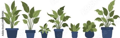 Collection of indoor potted plants with lush green foliage in blue pots in flat vector illustration isolated on light background for home decor design