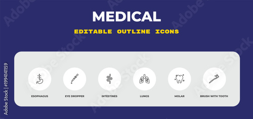 outline medical icons set - esophagus, eye dropper, intestines. editable vector for web and mobile ui