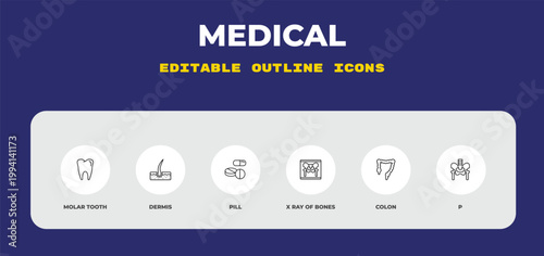outline medical icons set - molar tooth, dermis, pill. editable vector for web and mobile ui