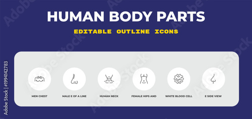 outline human body parts icons set - men chest, male e of a line, human neck. editable vector for web and mobile ui