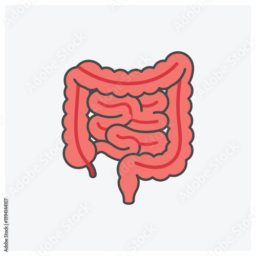 Minimalistic illustration of human intestines and digestive tract.
